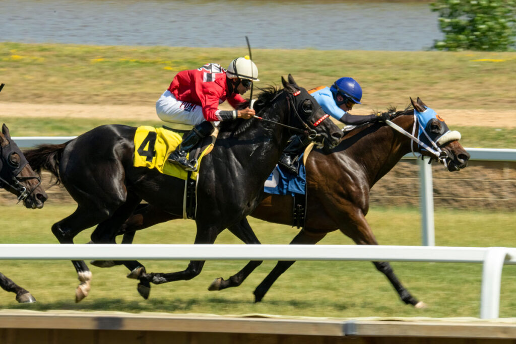 Horse-Racing